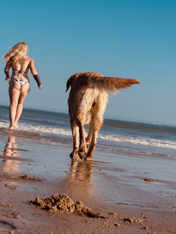Cow Print Triangle Bikini