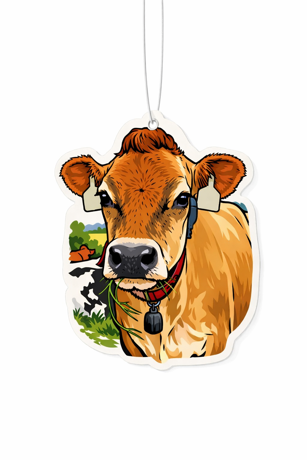 NEW Country Air Fresheners