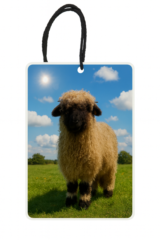 Valais Blacknose In Sunshine Air Freshener
