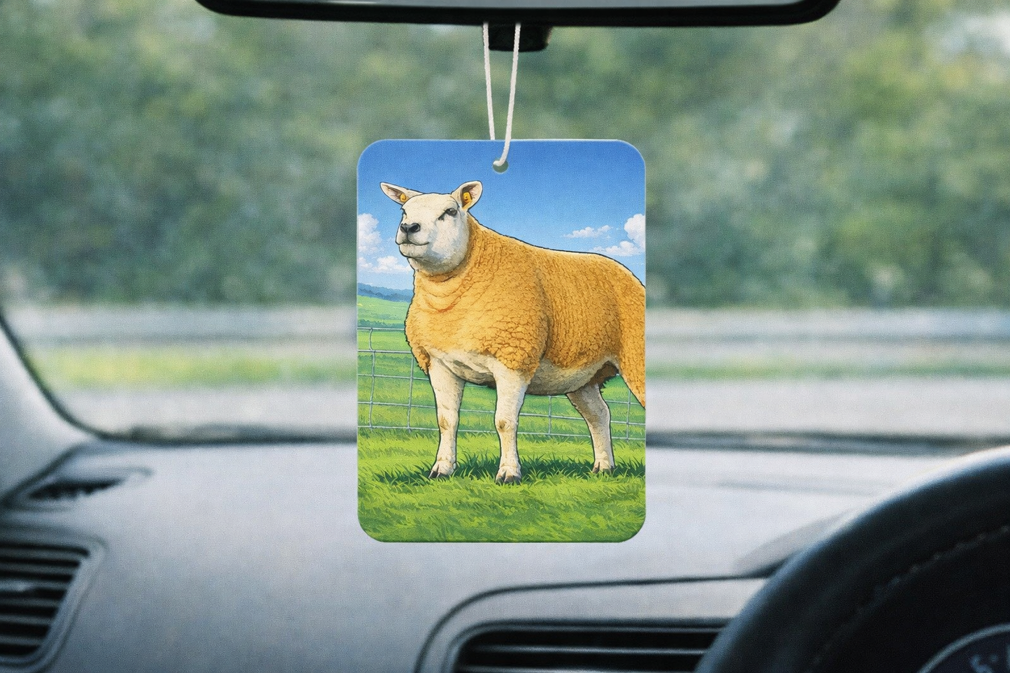 NEW Country Air Fresheners