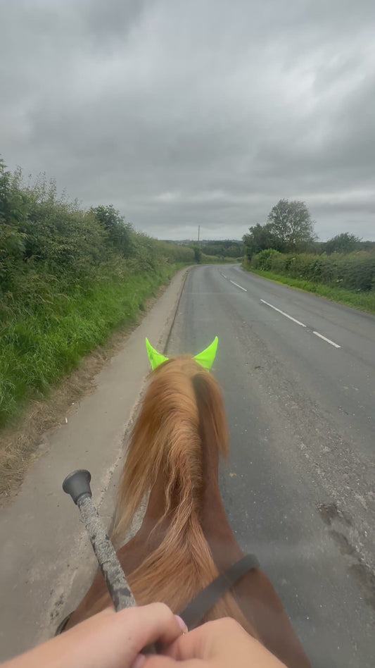 Equestrian High Vis with Phone Holder